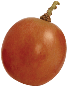 grape left